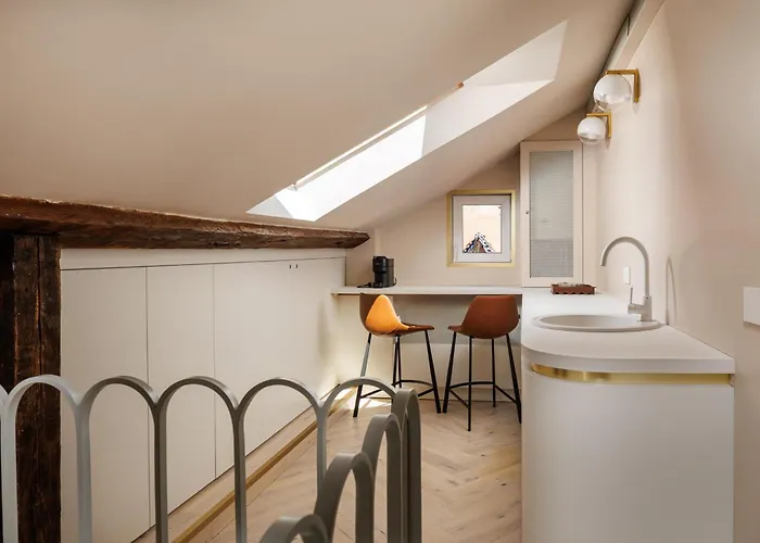 公寓 Roy Palace 布拉索夫