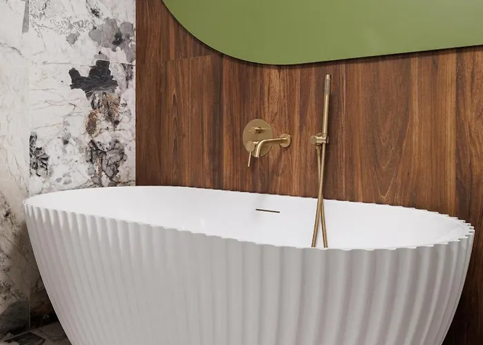 Roy Palace 布拉索夫