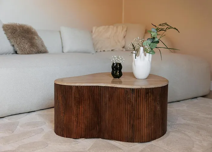 Roy Palace 布拉索夫