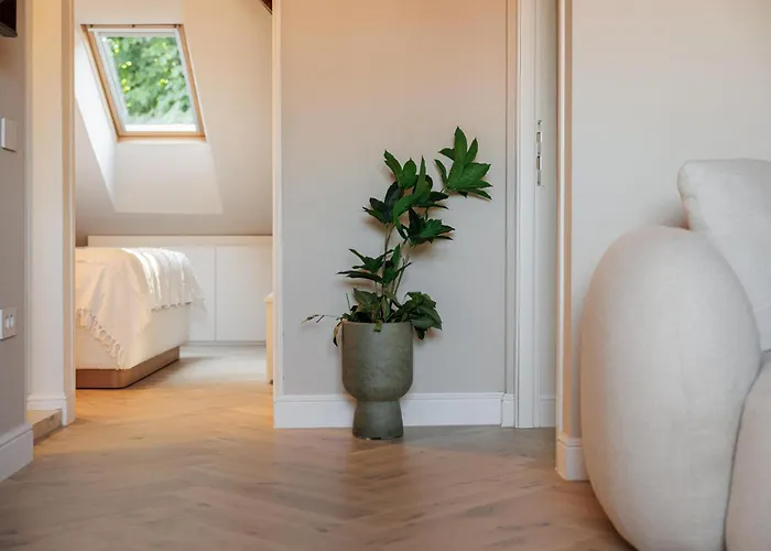 Roy Palace 布拉索夫